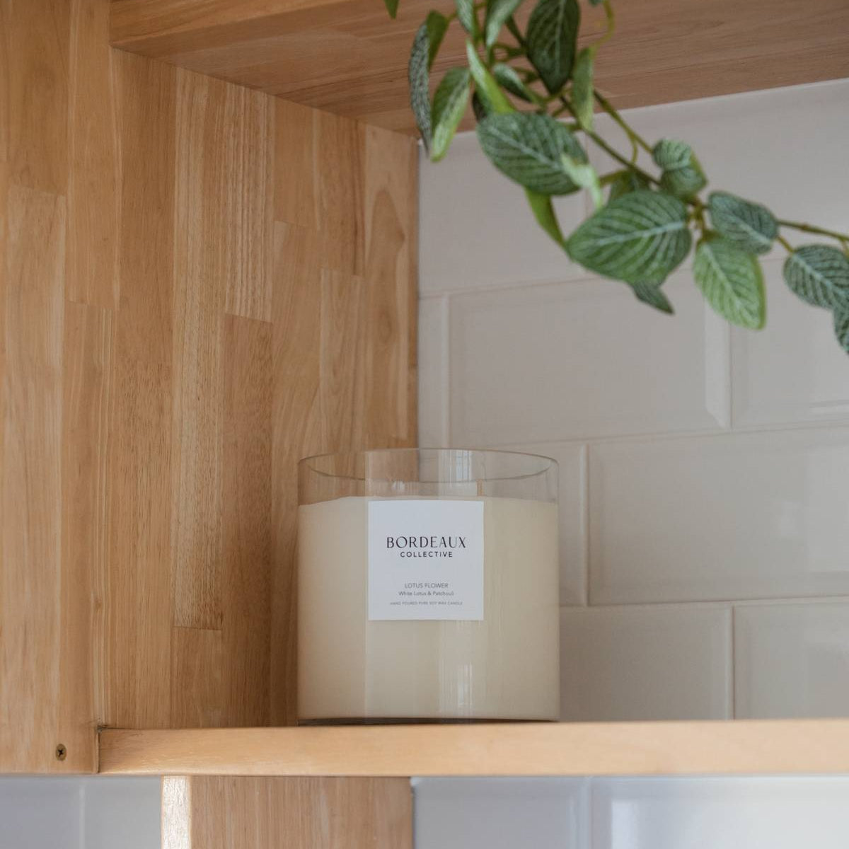 ISLAND BAY - Coconut & Lime Medium Deluxe Candle